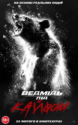 Ведмідь під кайфом